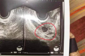 为何中邦？运载千秋丨扬州三湾古运河畔，博物馆搜寻大运河前生今世
